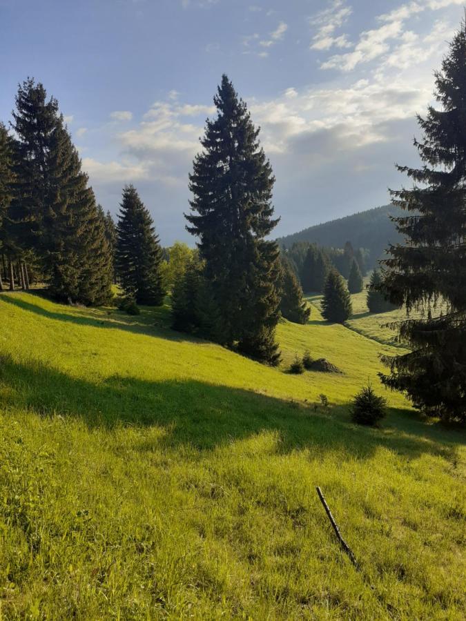 Chalupa U Pratel Kovářská Exterior foto