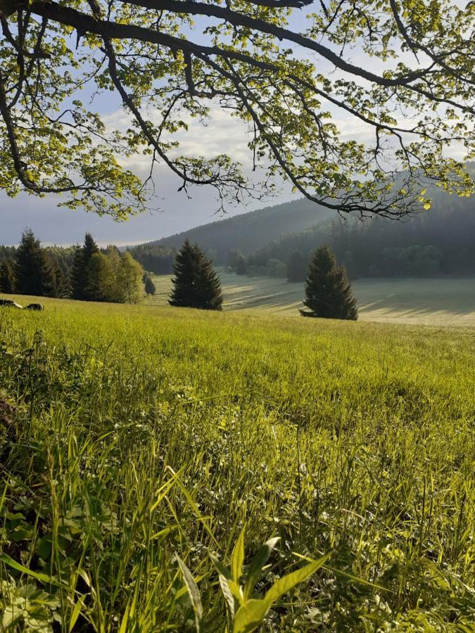Chalupa U Pratel Kovářská Exterior foto
