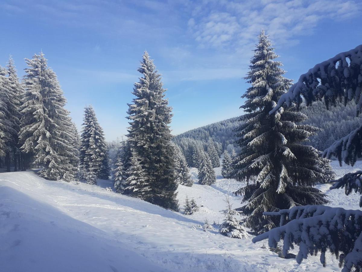 Chalupa U Pratel Kovářská Exterior foto